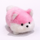 Animale mici - T24