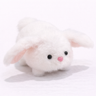 Animale mici - T24