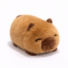 Animale mici - T24