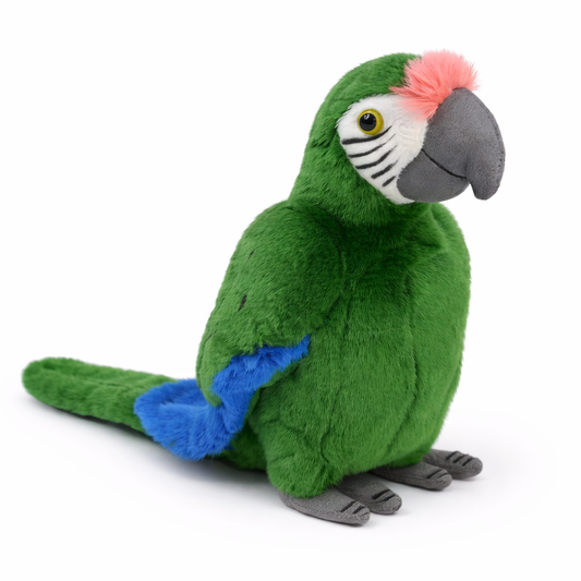 Papagal Ara Verde - T78